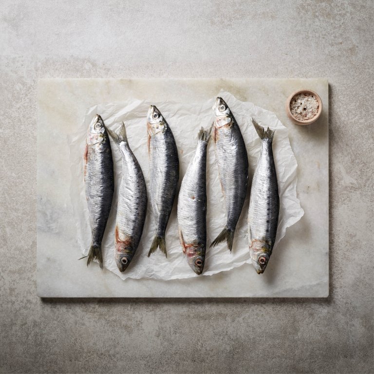 Mackerel