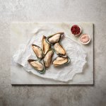 Mussels