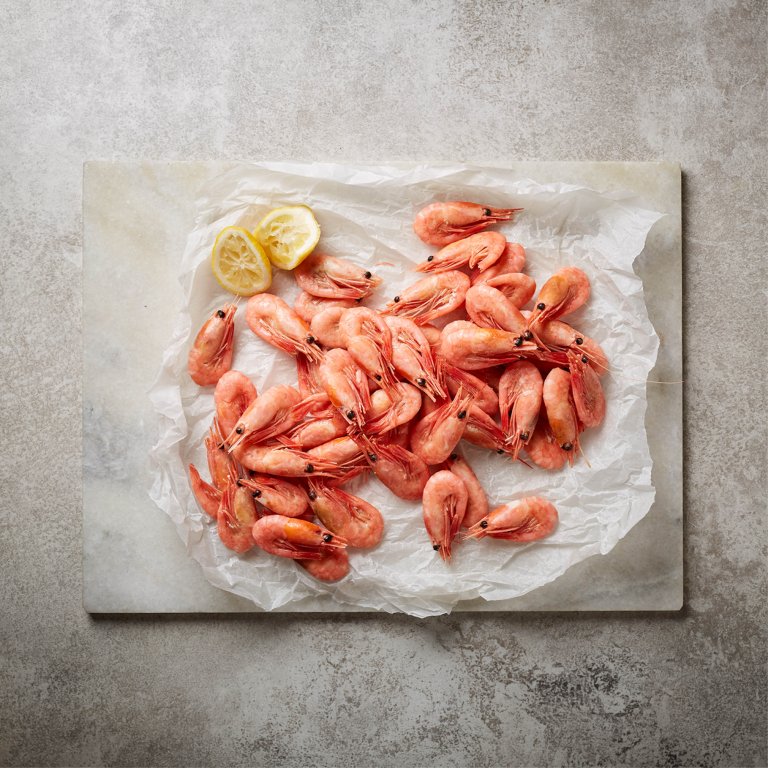 Northern shrimp