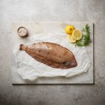 Plaice