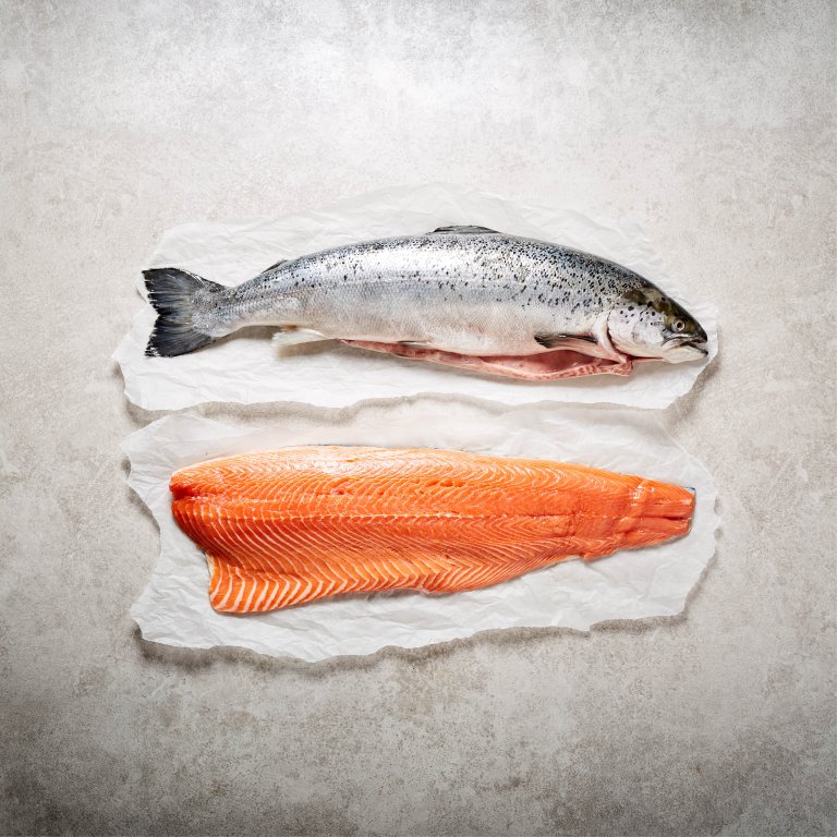 Salmon
